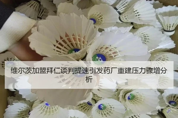 维尔茨加盟拜仁谈判提速引发药厂重建压力骤增分析